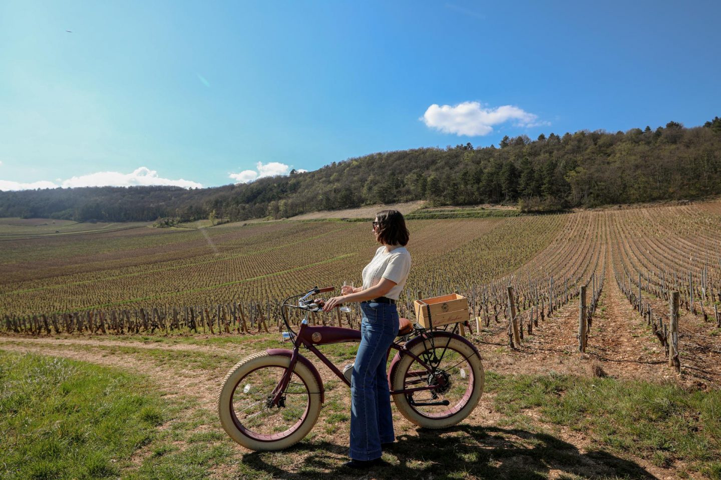promenade à vélo à travers les vignes de bourgogne
