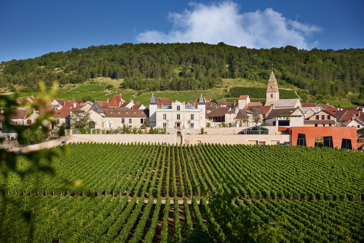 château de saint-aubin et son vignoble