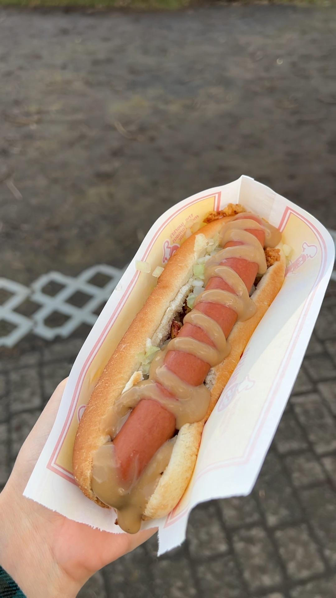 Víkinga Pylsur le meilleur hot dog islandais