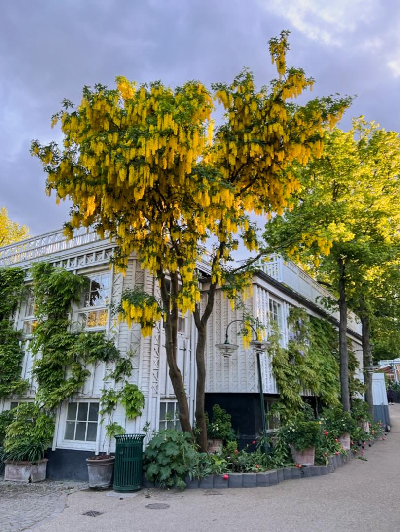 Jardins de Tivoli à Copenhague avec ses décorations