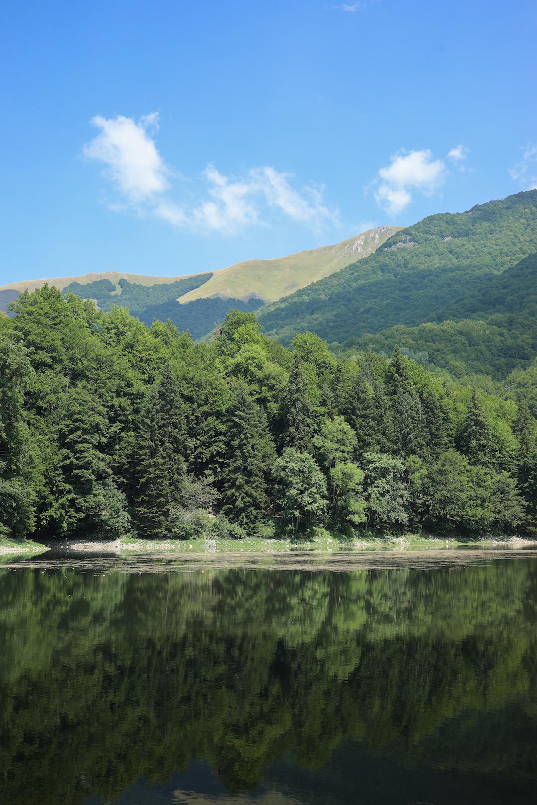 Le lac dans le parc de Biogradska Gora au Monténégro
