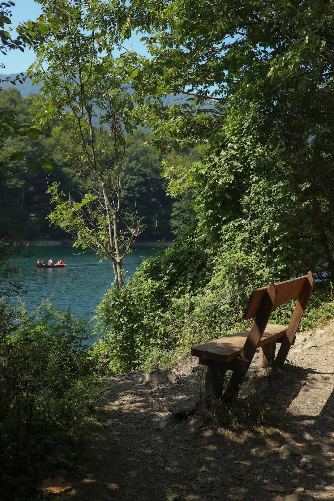 Banc sur les rives du lac dans le parc de Biogradska Gora au Monténégro