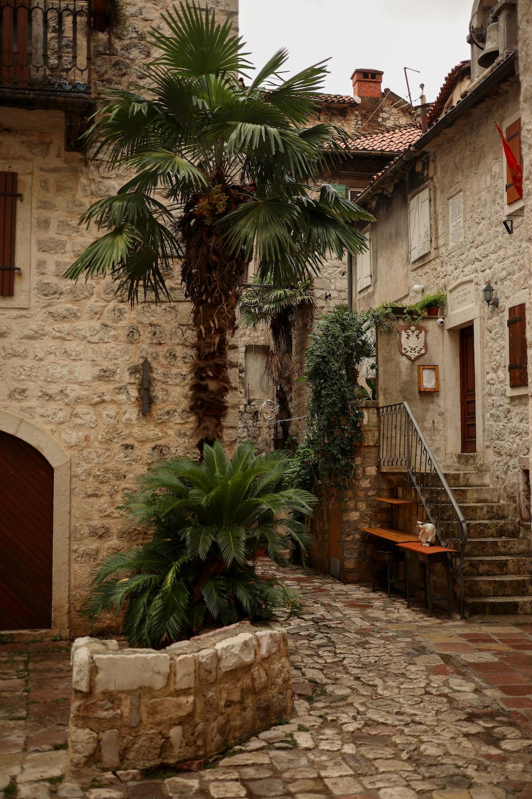 Les ruelles pavées du centre ville de Kotor au Monténégro
