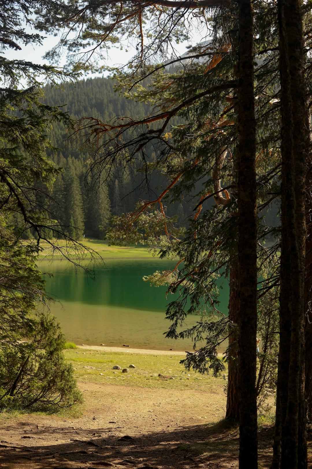 Le Black Lake au Monténégro avec ses couleurs vertes