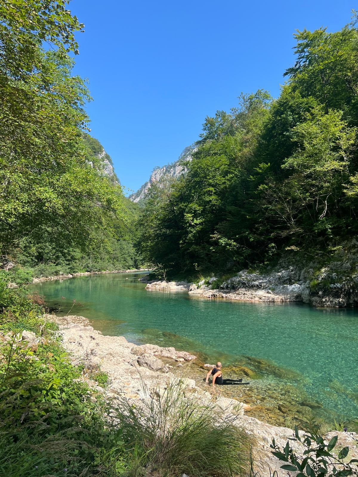 L'eau turquoise de la rivière tara au Monténégro