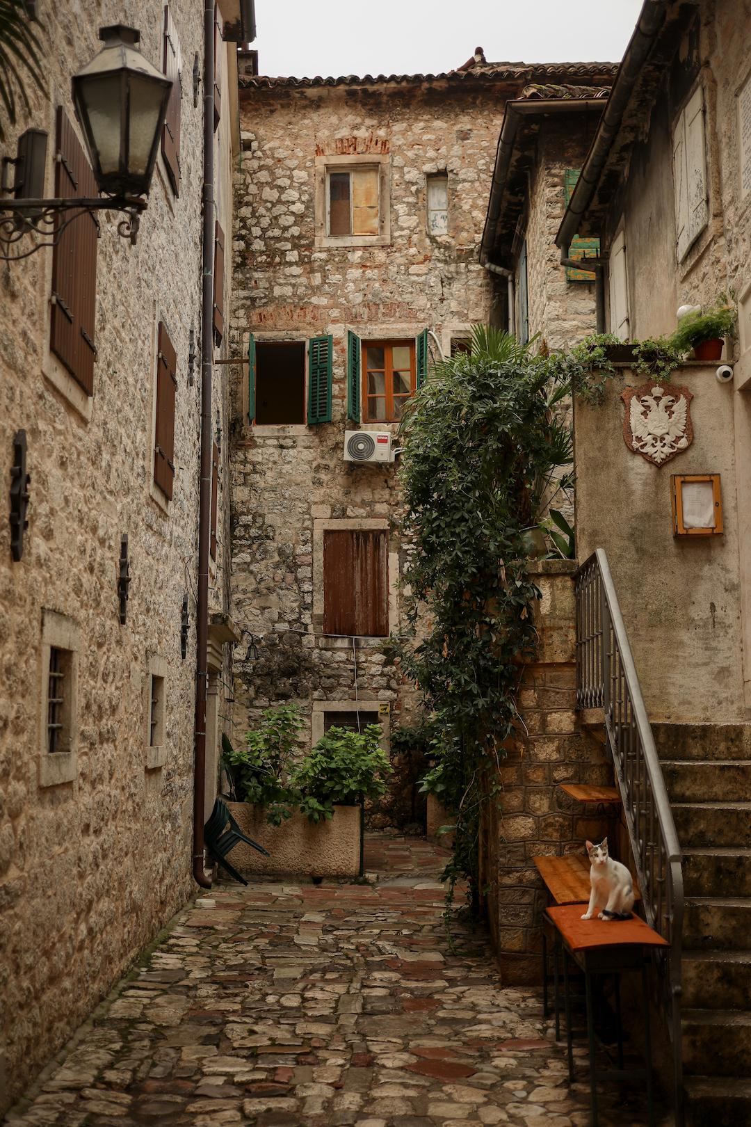 Les ruelles pavés du centre ville de Kotor au Monténégro
