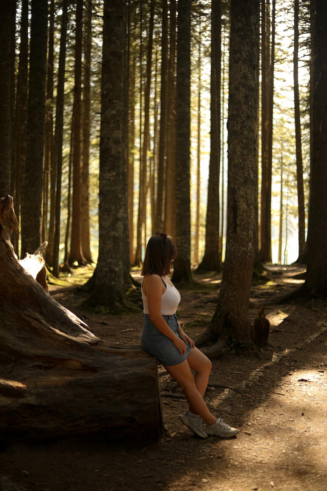 Les sentiers de randonnée autour du Black Lake au Monténégro