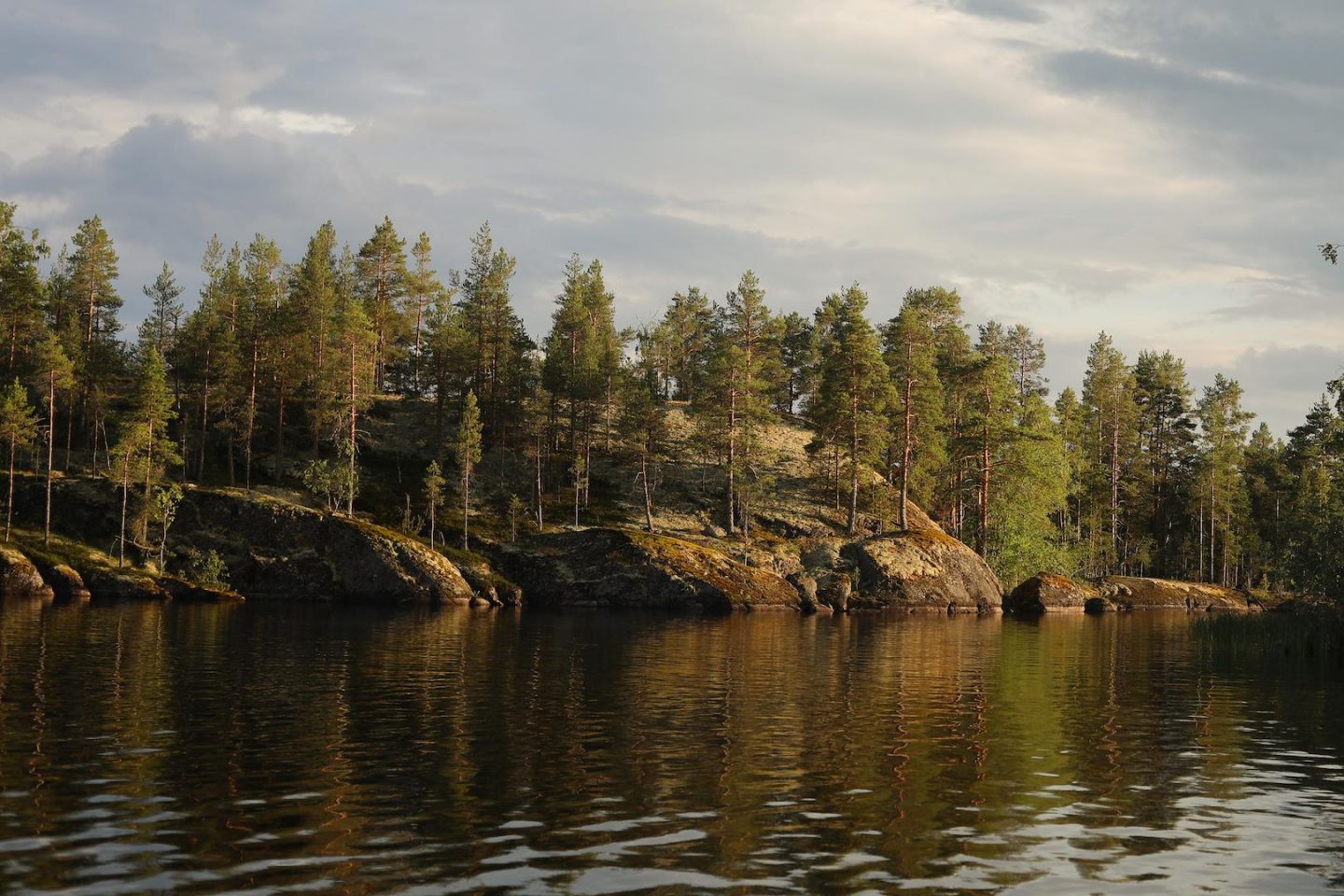 la côte sauvage des îlots du lac de saaima