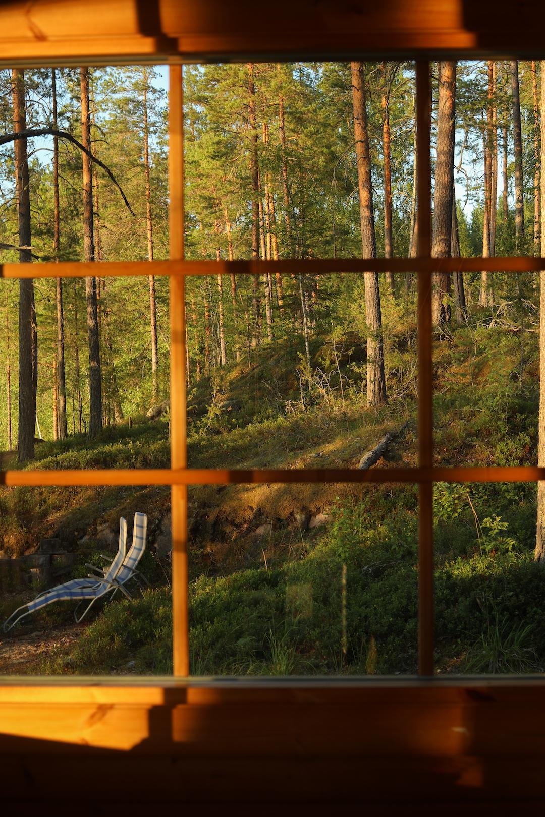 la foret finlandaise vu de l'intérieur d'un mökki traditionnel