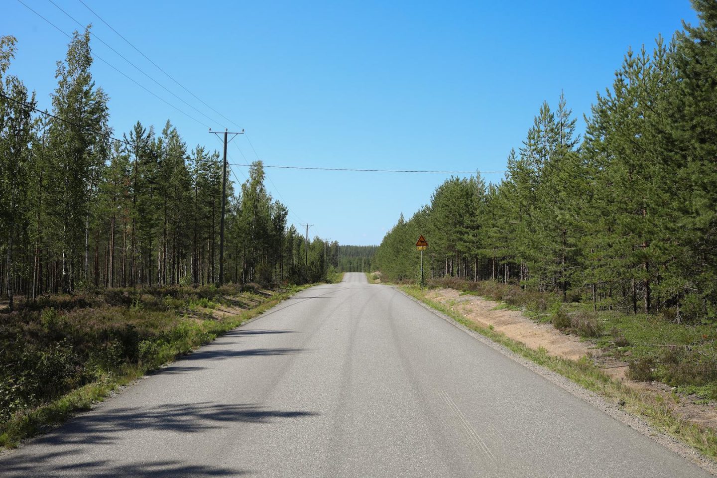 les routes sauvages de la finlande en été
