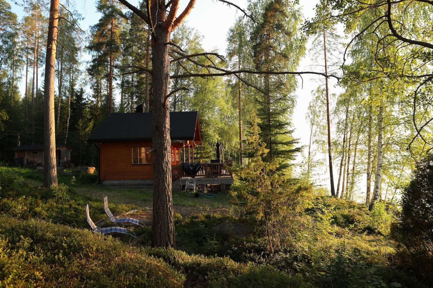 cabane dans les bois au bord d'un lac en finlande en été