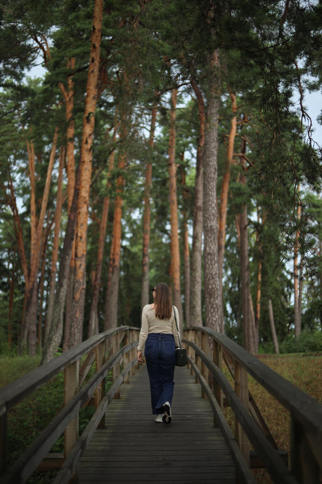 sentier de randonnée à travers les bois dans porvoo